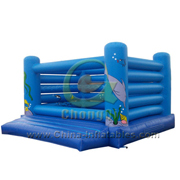 inflatable bouncer